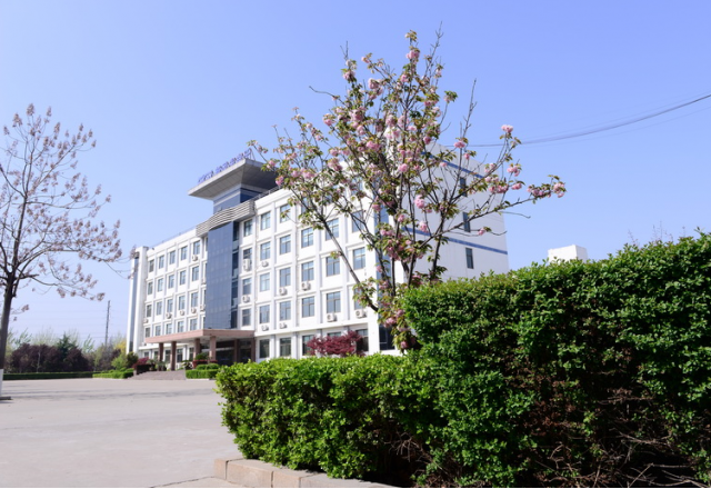 公司荣获“山东省先进中小企业”称号